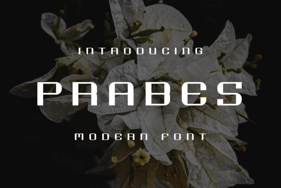 Prabes: A Playful Display Font That Makes Handmade Products Shine