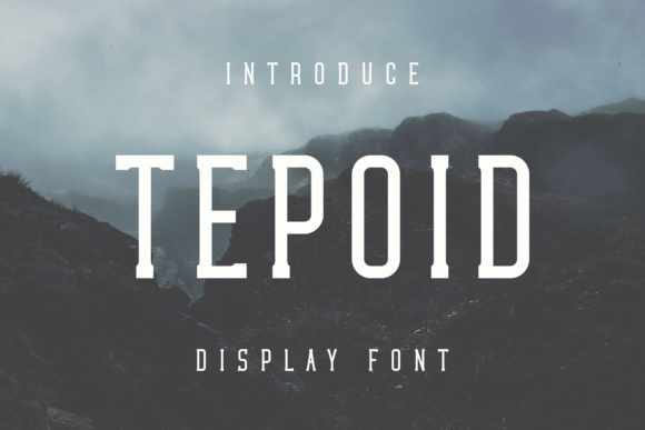 Tepoid: A Distinctive Display Font for Digital Branding